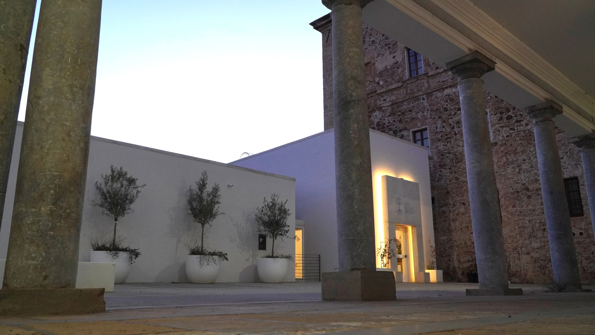 museo homepage